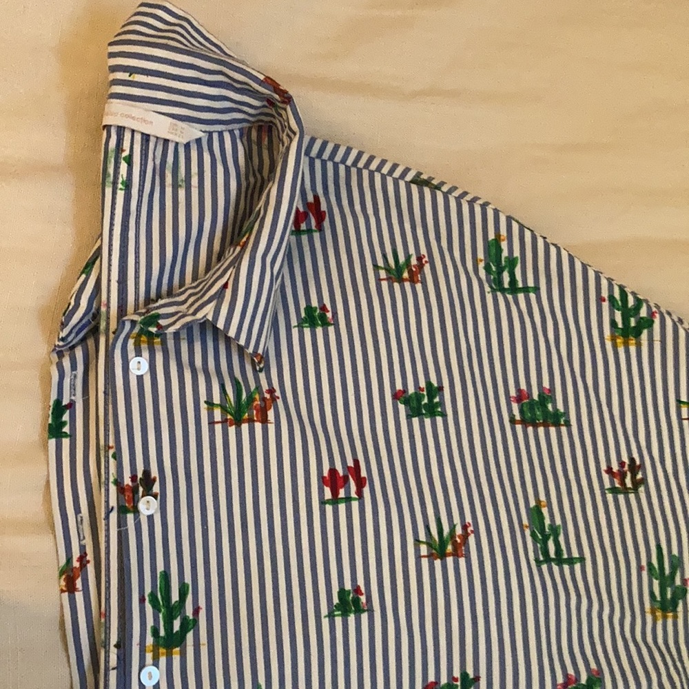 Zara painted cactus button up.